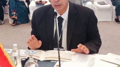 علي حسن: رفض السيسي للتهجير القسري للفلسطينيين لاقى اقتناعًا وتأييدًا دوليًا كبيرًا