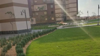 رئيس جهاز مدينة بدر يعلن أهم أعمال الزراعة والتجميل بالأحياء صور