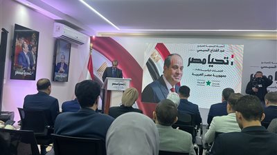 رئيس حملة السيسي يشكر 