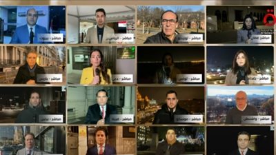 3 لجان في ألمانيا لاستقبال المصريين بالانتخابات الرئاسية 2024