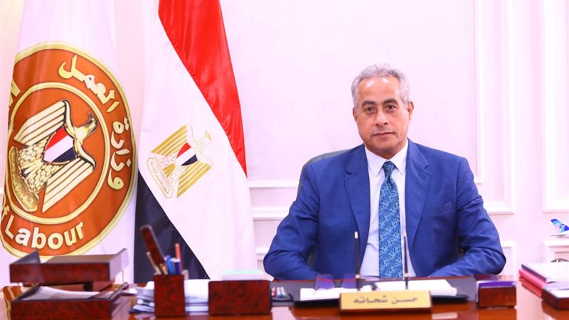 وزير العمل حسن شحاتة