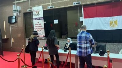 المصريون يتوجهون للتصويت فى اليوم الثانى بأمريكا