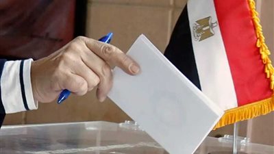 بدءتصويت المصريين بنيوزيلاندا في اليوم الثالث من الانتخابات الرئاسية