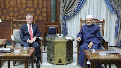 الإمام الأكبر: مناهج الأزهر قادرة على مواجهة التطرف