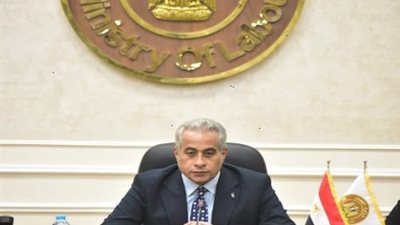وزير العمل يناقش مع وفد 