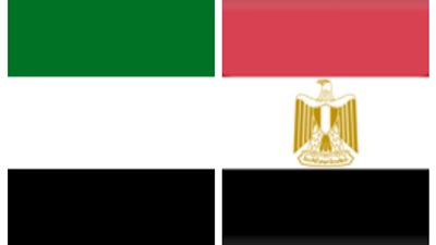 المهيرى: مشاركة السيسى بن زايد احتفالات الامارت..رسالة اخوة