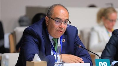 محيي الدين: مقايضة الديون بالعمل المناخي آلية هامة للدول النامية