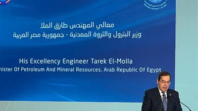 الملا: العمل سويا على مبادرات عربية تستهدف الانتقال العادل للطاقة